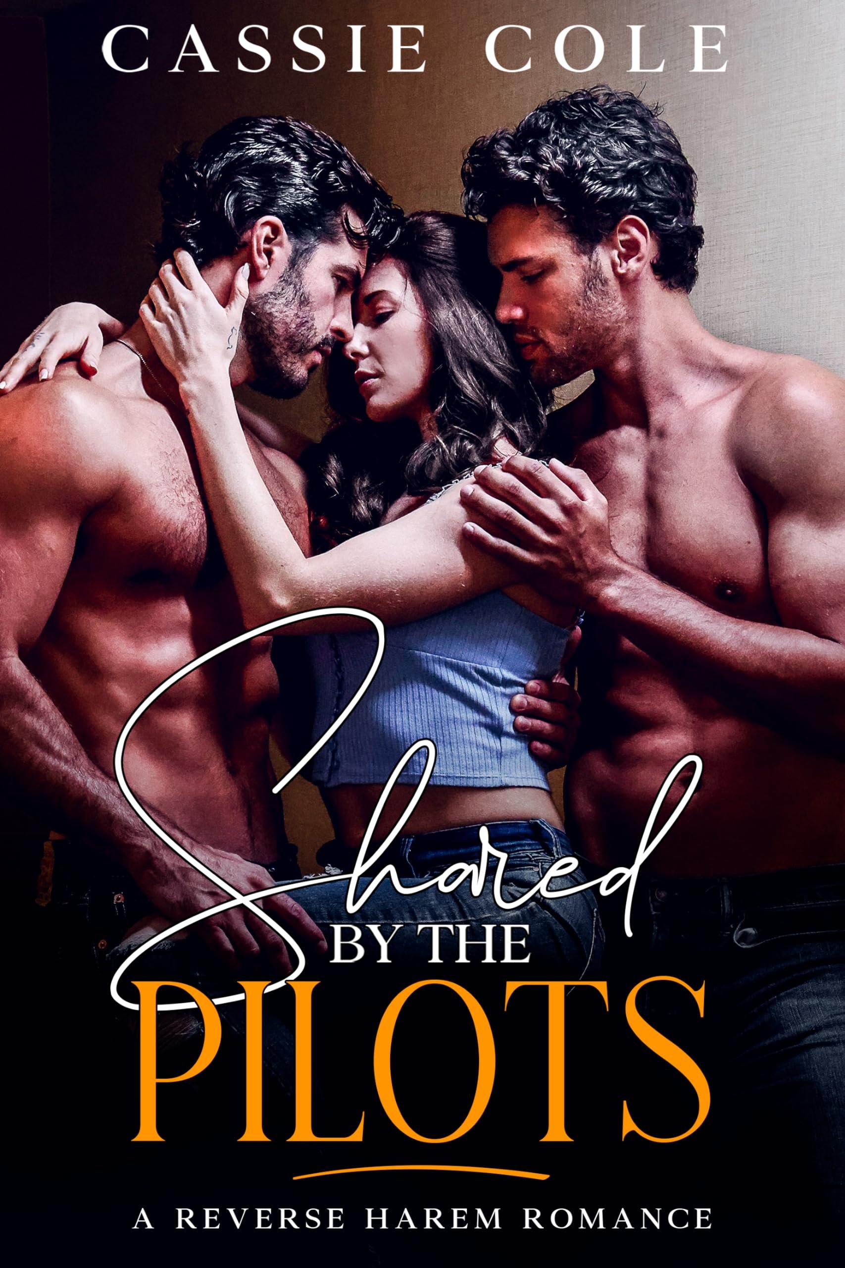 Shared by the Pilots: A Reverse Harem Romance Cover